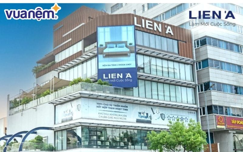 Sau hơn 30 năm hình thành và phát triển đến nay Liên Á đã có được chỗ đứng vững chắc trên thị trường
