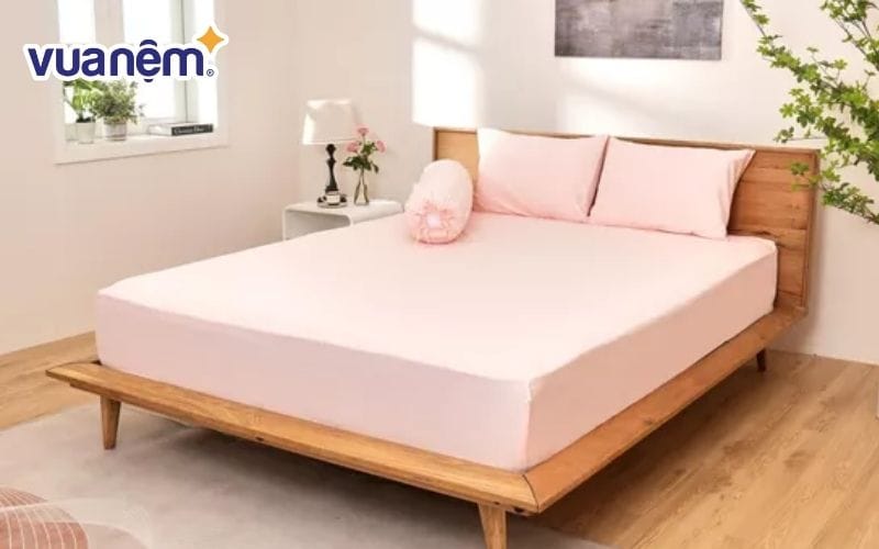 Bộ ga chun Canada cotton màu đỏ rượu vang dành cho cung Thần Nông