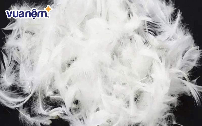 Trên thực tế những chiếc chăn mền ruột lông vũ cũng được gọi là mền bông 