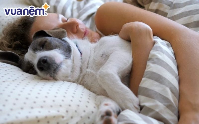 Tóc, lông thú cưng, vụn thức ăn, sợi chỉ…là những thứ thường xuất hiện trên chăn mền.
