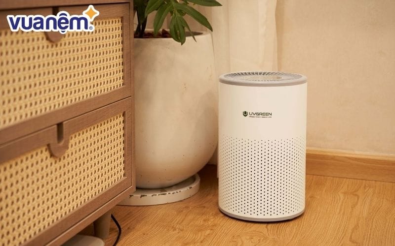 Bạn có thể sử dụng máy lọc không khí để không gian thêm trong lành và bảo vệ hệ hô hấp của trẻ