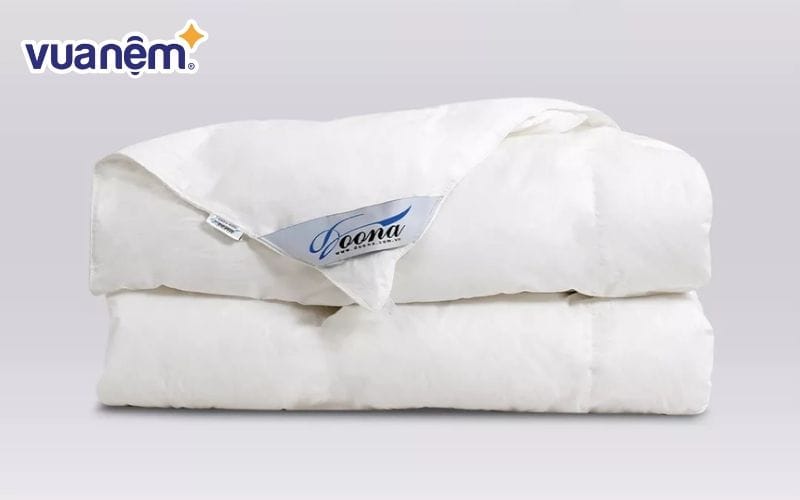 Mua ruột chăn lông vũ chất lượng tại Vua Nệm
