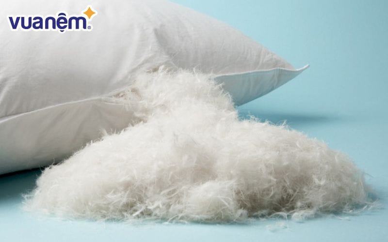 Ruột gối lông vũ có giá thành đắt nhất