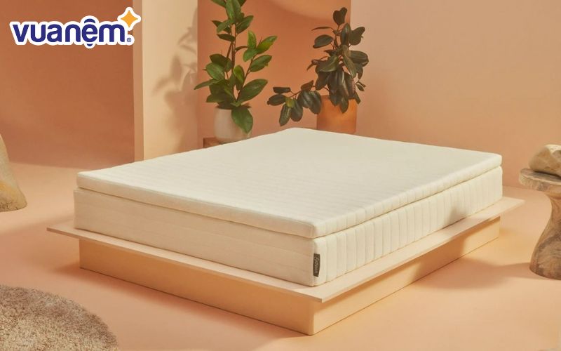Nệm foam