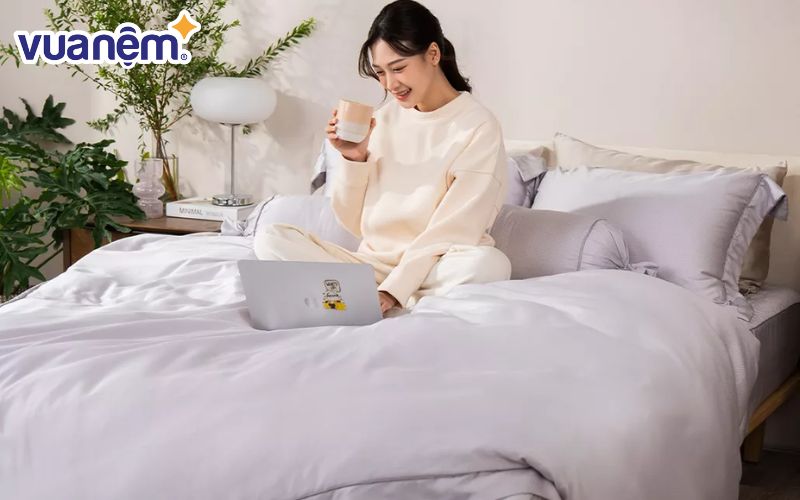 Amando cung cấp những sản phẩm nệm chăn ga gối cao cấp