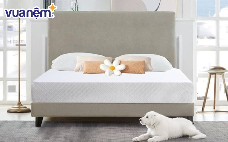 Nệm 2 người thường sử dụng trong trường hợp nào?