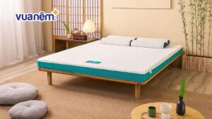 Nệm 2 người nằm: Kích thước và bảng giá tốt năm 2025