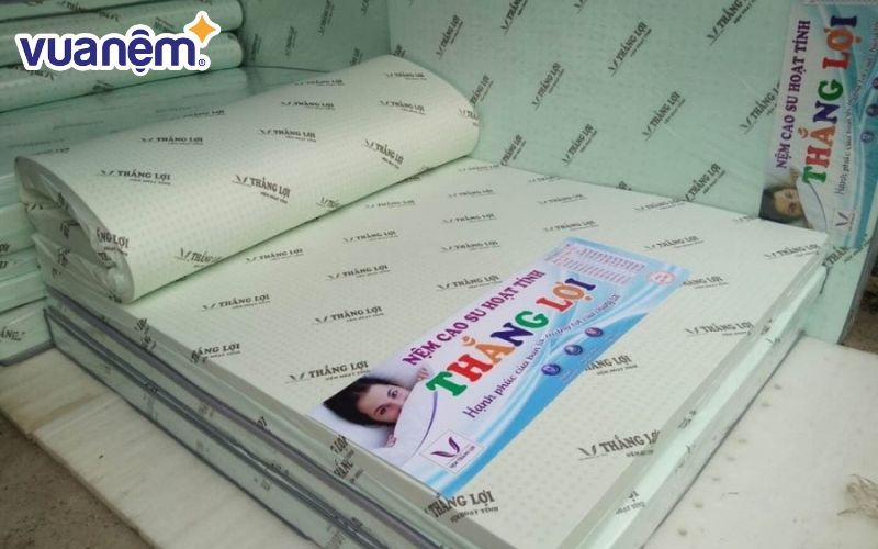 Nệm cao su Thắng Lợi là một trong những thương hiệu nệm cao su giá rẻ