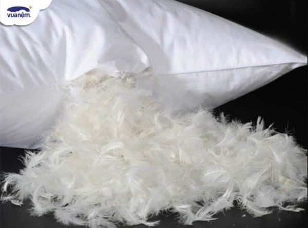 Chăn ga gối nệm lông vũ: Ưu điểm và Top 5 sản phẩm tốt nhất