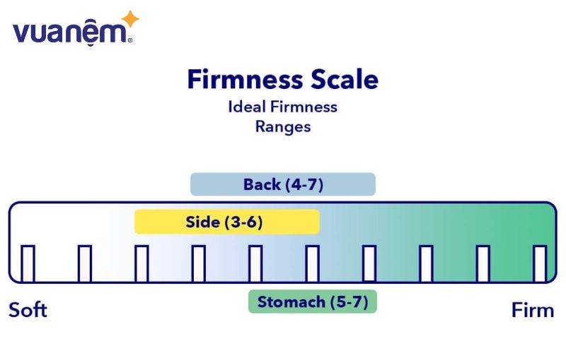 Nệm sẽ được đánh giá khách quan nhất dựa trên thang đo độ đàn hồi và nâng đỡ
