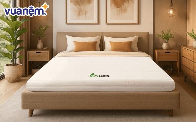 Nệm cao su Gummi 7zones