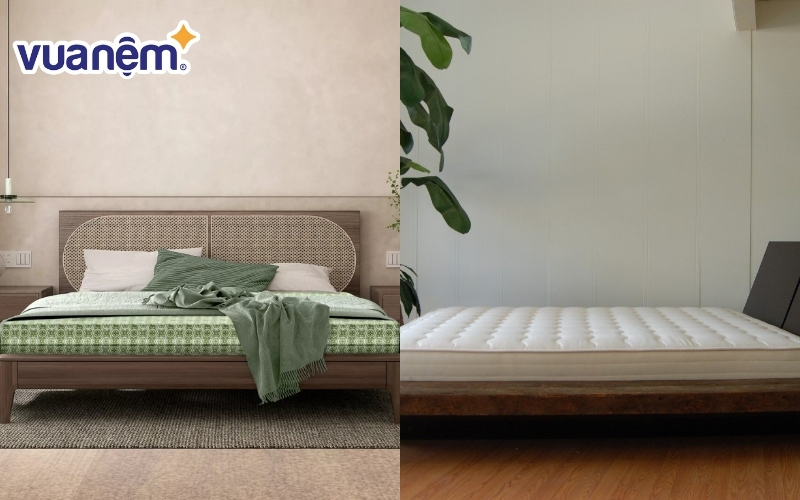 So sánh nệm xơ dừa (bên phải) và nệm bông ép (bên trái)