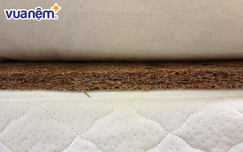 Nệm xơ dừa là loại nệm được làm từ sợi xơ của vỏ quả dừa tự nhiên