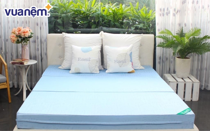 Hiện nay có rất nhiều thương hiệu phân phối nệm xơ dừa chất lượng