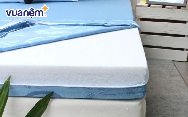Nệm bông ép có độ dày phổ biến trong khoảng 5cm đến 20cm