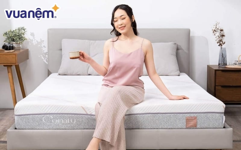 Nệm foam làm mát, kháng khuẩn Comfy Lux 1.0 – nâng đỡ 5 vùng cơ thể