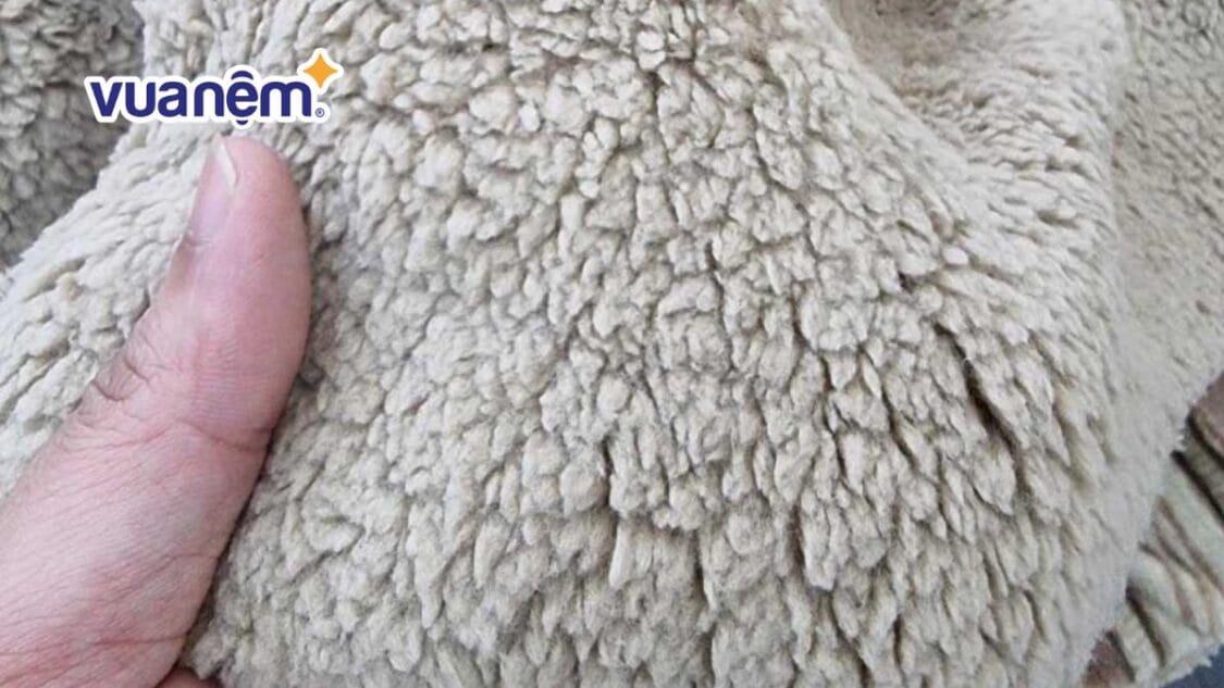 phân biệt chăn lông cừu thật và giả