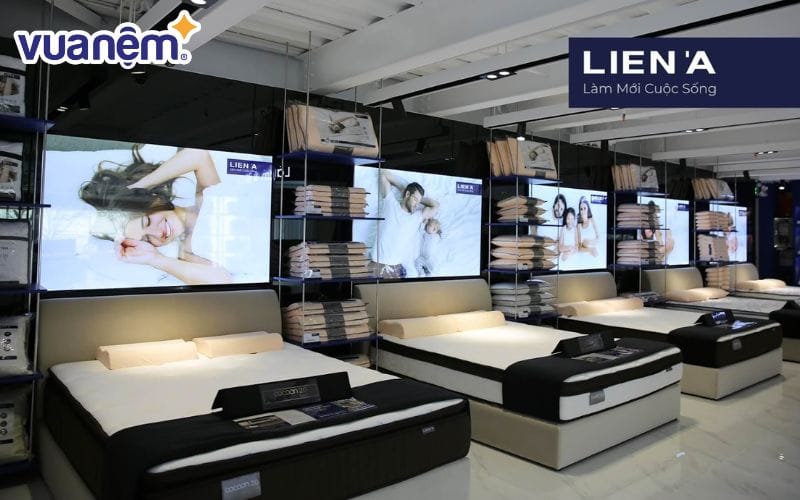 Nệm Liên Á đã phủ sóng trên toàn quốc với hàng trăm cửa hàng và đại lý phân phối.