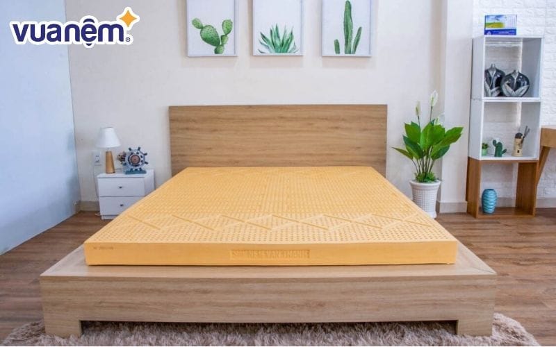 Nệm cao su Vạn Thành Segovia