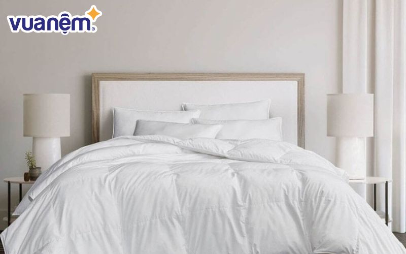 Ruột chăn Doona Basic T220 2,7kg Ruột chăn Doona Basic T220 2,7kg