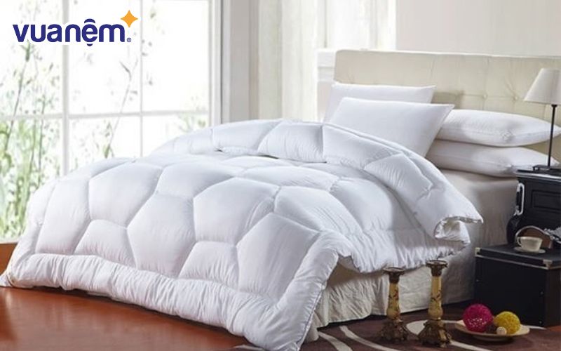 Đánh giá ruột chăn Hanvico có tốt không?