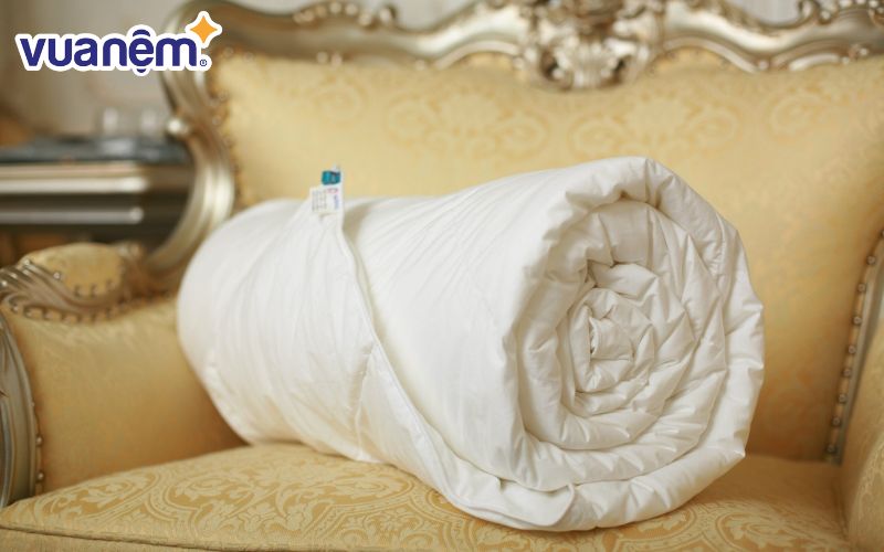 Ruột chăn đông Hanvico bông Micro