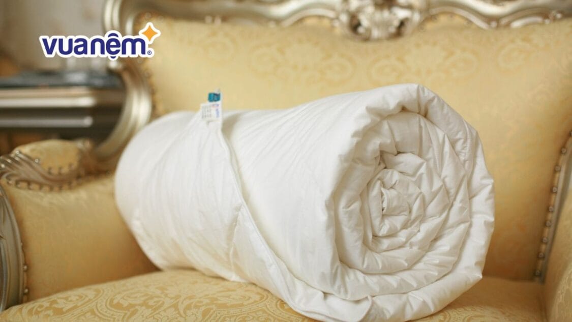 Đánh giá ruột chăn Hanvico