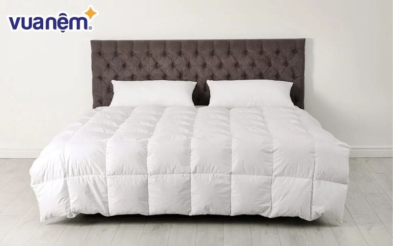Ruột chăn Doona Luxury 70% cho cảm giác siêu nhẹ khi sử dụng