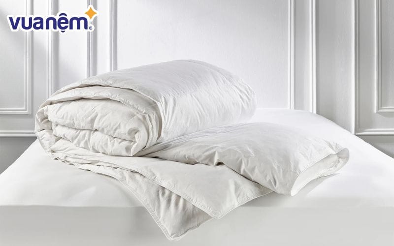 Các loại ruột chăn tốt, đáng mua nhất