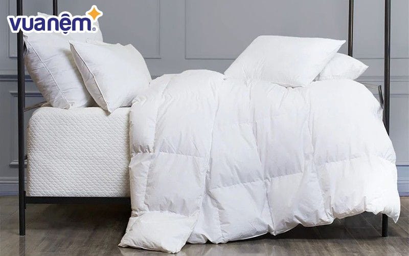 Nên chọn mua ruột chăn siêu nhẹ phù hợp, không nên mua loại quá đắt