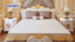 So sánh nệm Kim Cương và Vạn Thành: Nên mua nệm cao su hãng nào?