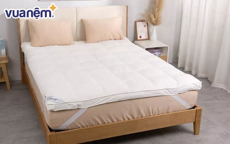 Tấm topper càng dày thì sẽ càng tăng sự hỗ trợ cho tấm nệm.