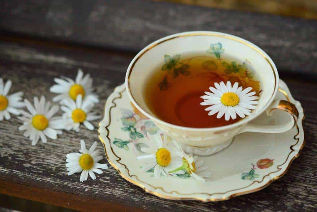 uống trà hoa cúc vào bất kỳ thời điểm nào