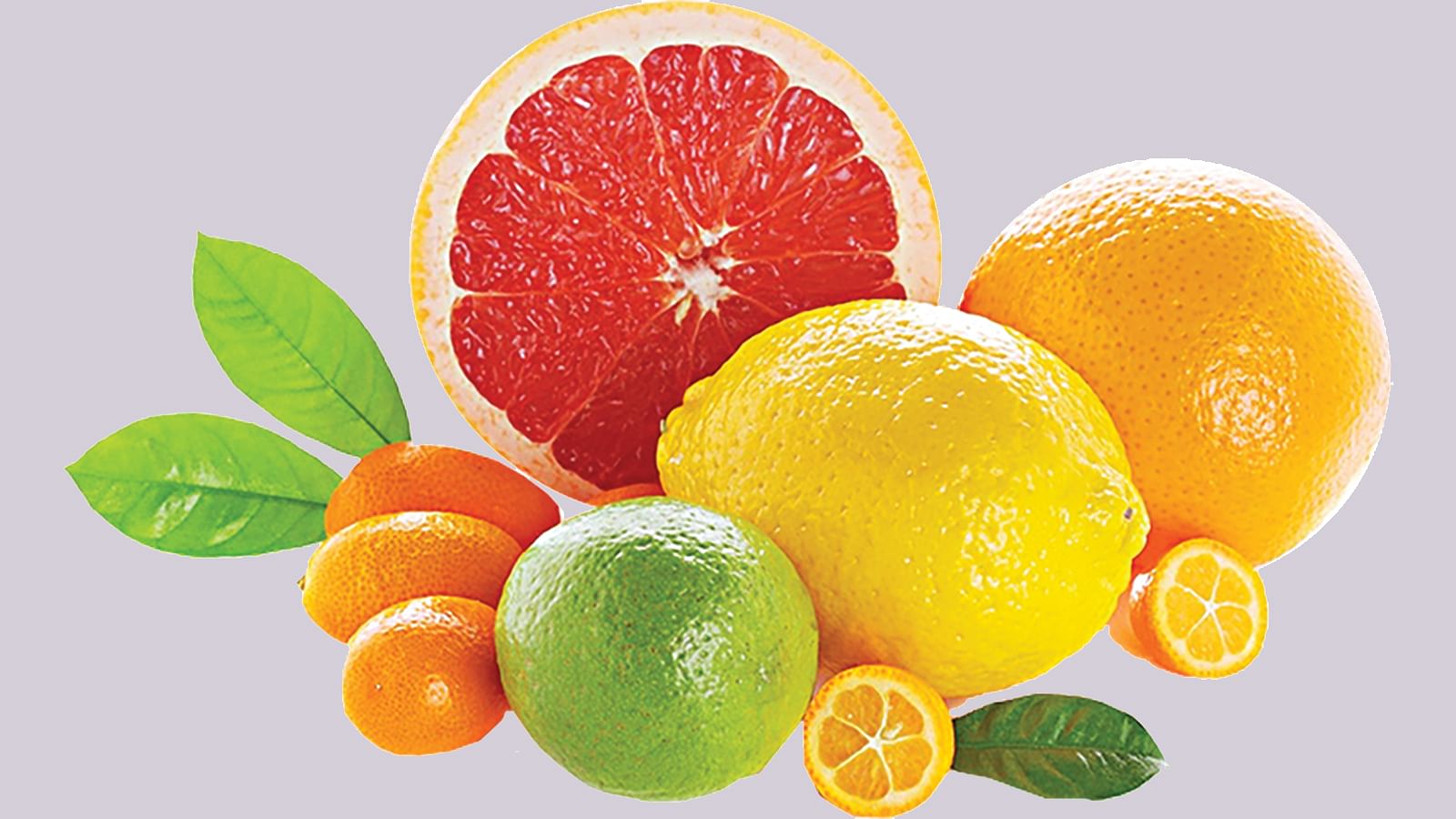 trái cây họ cam