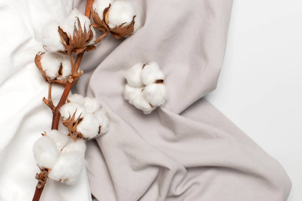 Tìm hiểu vải cotton, phân biệt các loại vải cotton hiện nay - Vua Nệm