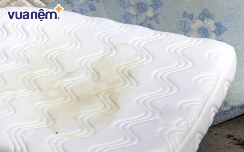 Nệm chăn ga gối là nơi dễ tích tụ vi khuẩn nhưng lại ít được quan tâm khi vệ sinh nhà cửa