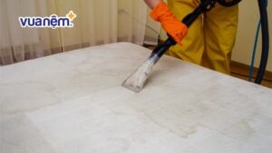 “Soi” vi khuẩn trên Nệm & Chăn Ga Gối nhà bạn