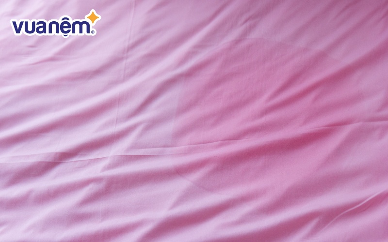 Vi khuẩn phát triển mạnh trong điều kiện ẩm ướt