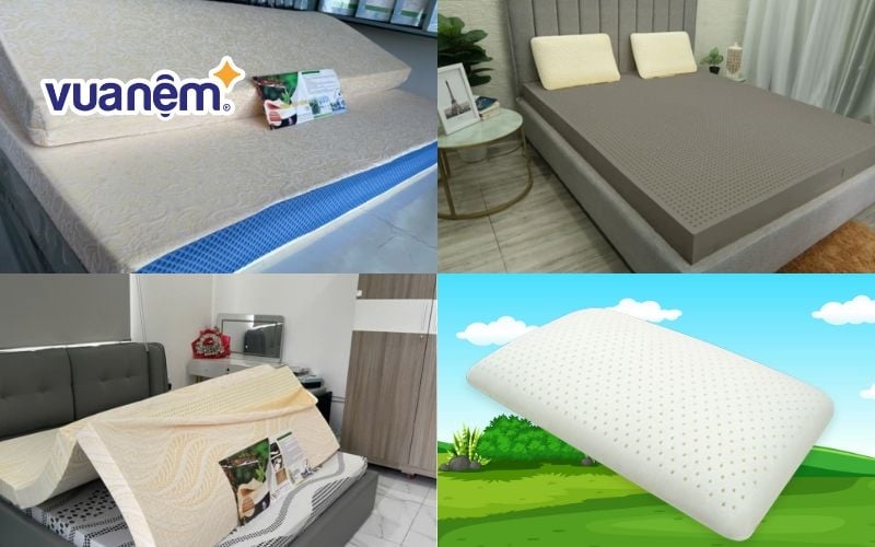 Cửa hàng nệm quận Tân Phú Nệm Sơn mang đến những mẫu mã nệm đẹp mắt cùng chất lượng vượt trội