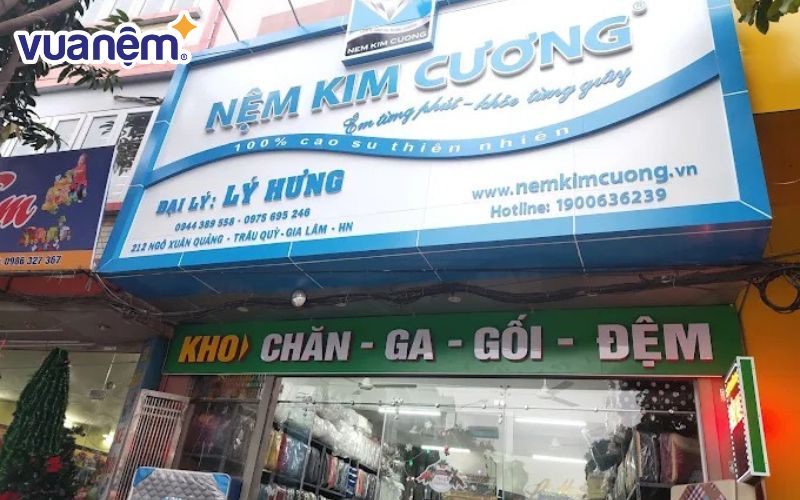 Đại lý nệm Kim Cương Hà Nội - Lý Hưng