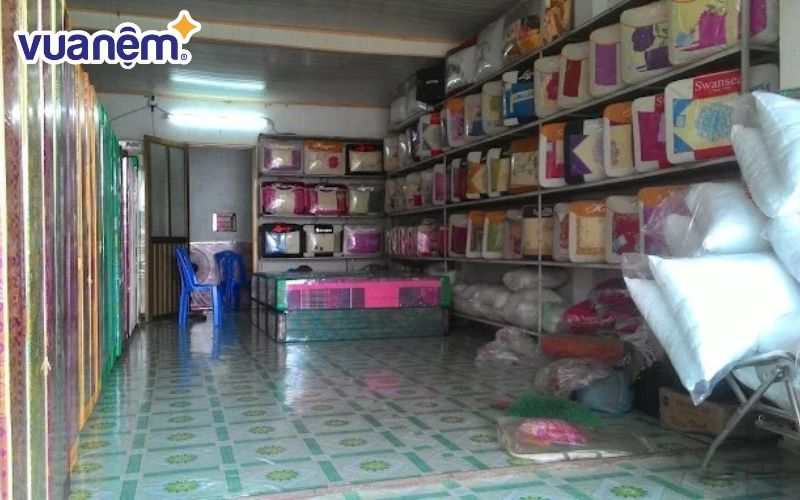Đại lý Phụng Hà phân phối nhiều mẫu nệm khác nhau