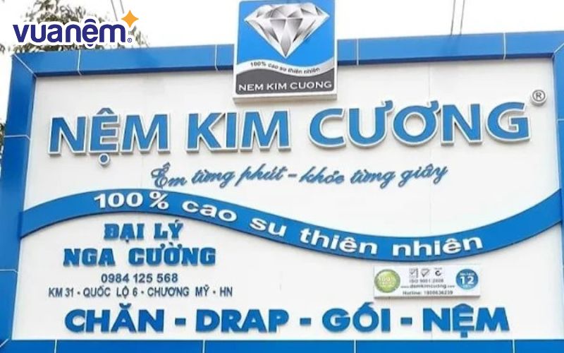 Đại lý nệm Kim Cương Hà Nội - Nga Cường