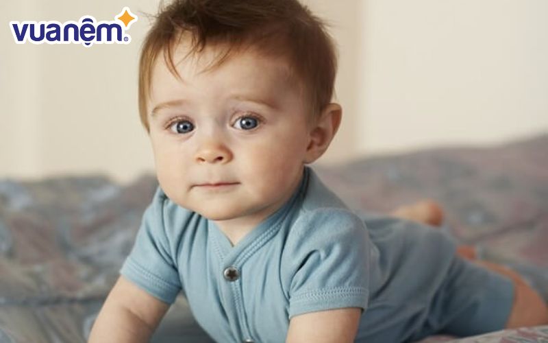 Đặt tên con trai họ Trần theo chữ cái T