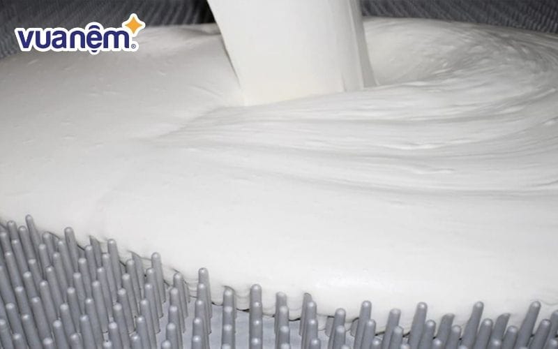 Xử lý mủ cao su khai thác tại nhà máy