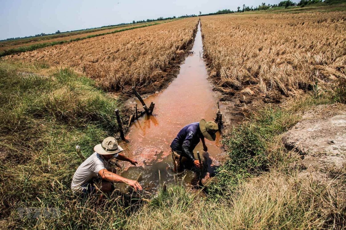 xâm nhập mặn ở Đồng Bằng Sông Cửu Long