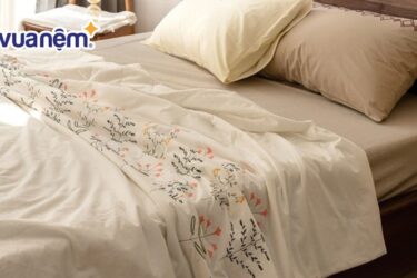 Chăn cotton hè