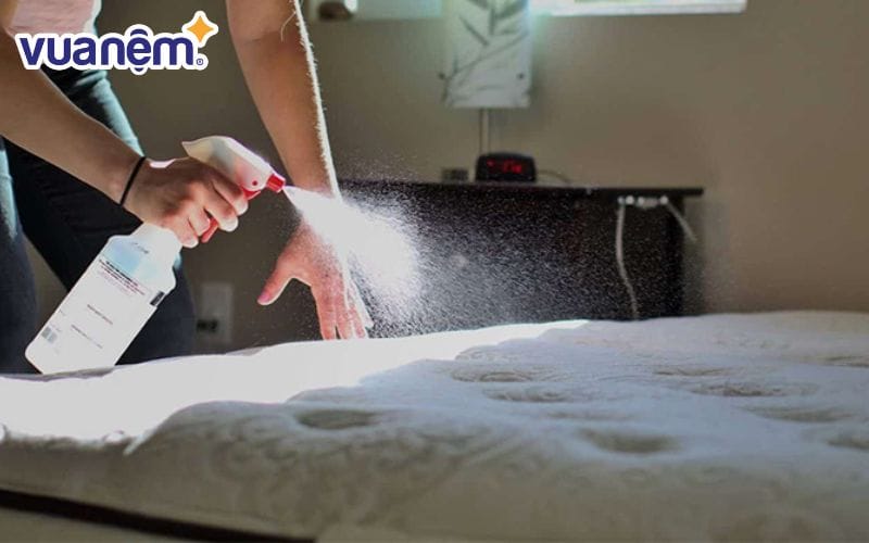 Khử trùng là bước quan trọng khi vệ sinh nệm Liên Á để loại bỏ vi khuẩn, nấm mốc tiềm ẩn trong nệm