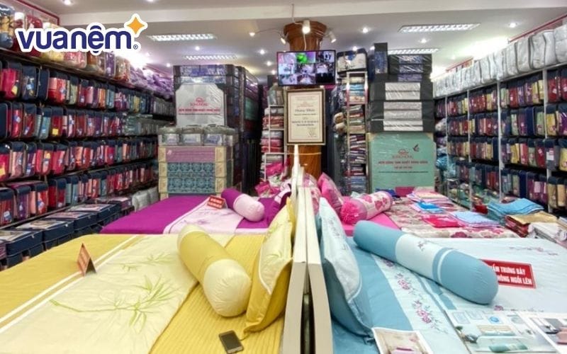 Đại lý đệm Sông Hồng Đà Lạt