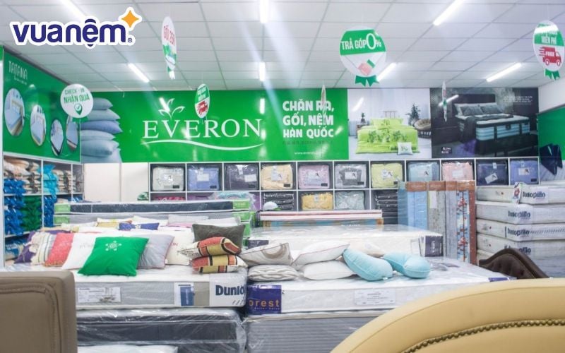 Mua nệm ở đâu Bạc Liêu - Cửa hàng Everon