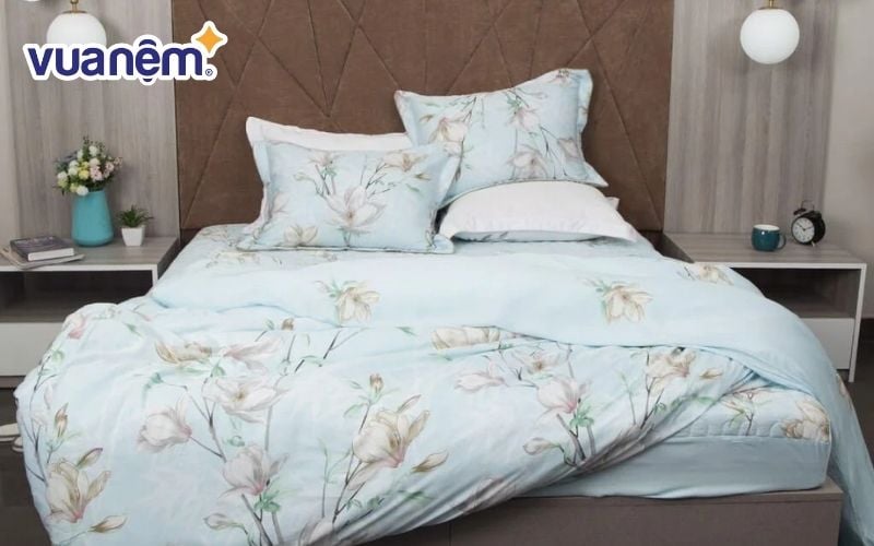 Mẫu chăn ga gối nệm Edena